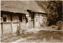 Halbhof "Lümas", Schwalingen No.13, im Jahre 1947