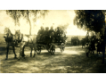 Schützen- und Heimatfest Schwalingen 1920